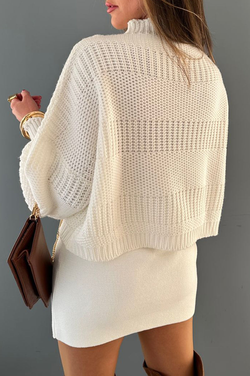 Daily Color Weave Turtleneck Sweaters