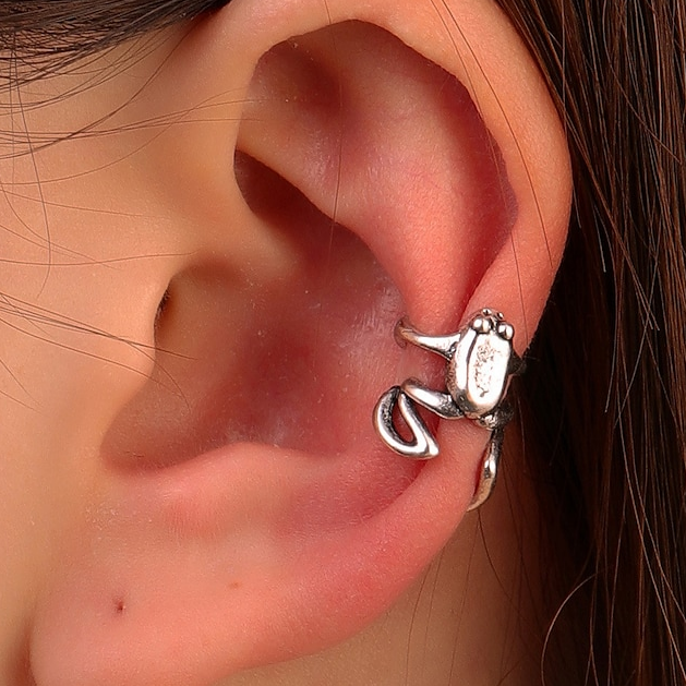 Silver Frog Earrings