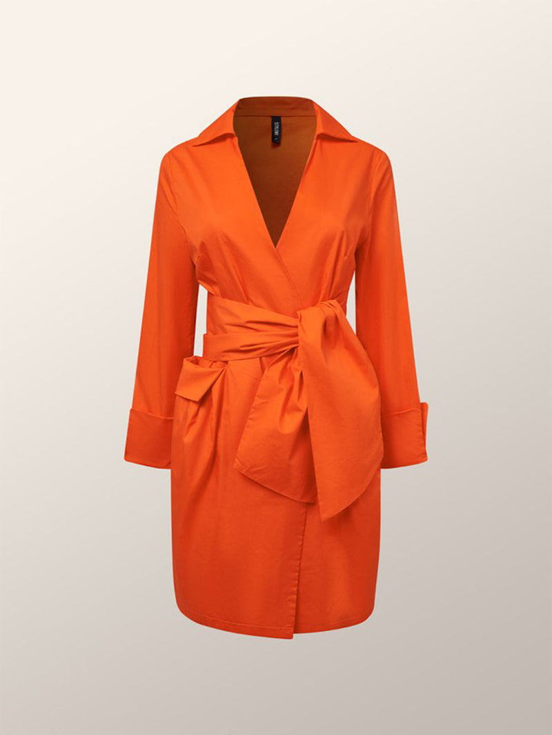 Thoughtfully Designed Dress