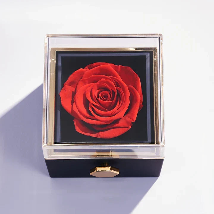 Rose Box & Hug Necklace