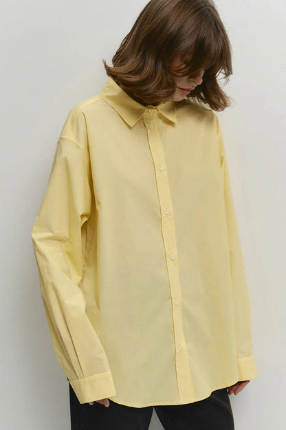 Beautifully Crafted Blouse