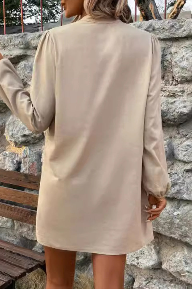 Simplicity Buttons Mandarin Collar a Line Dresses
