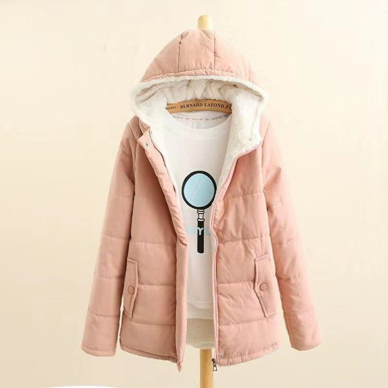 Beautifully Crafted Garment