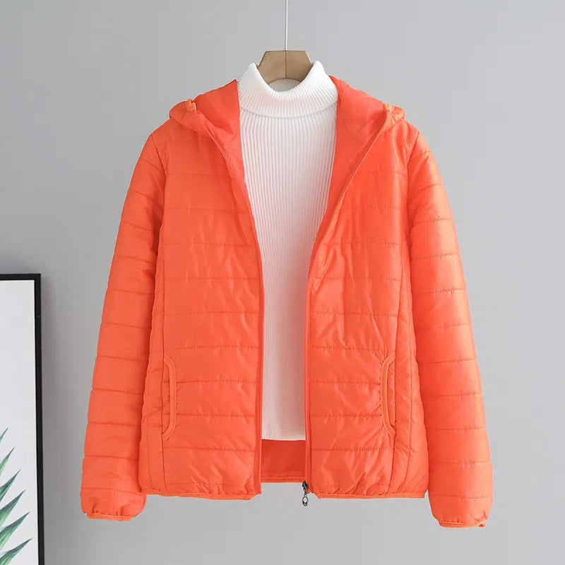 Orange Rot