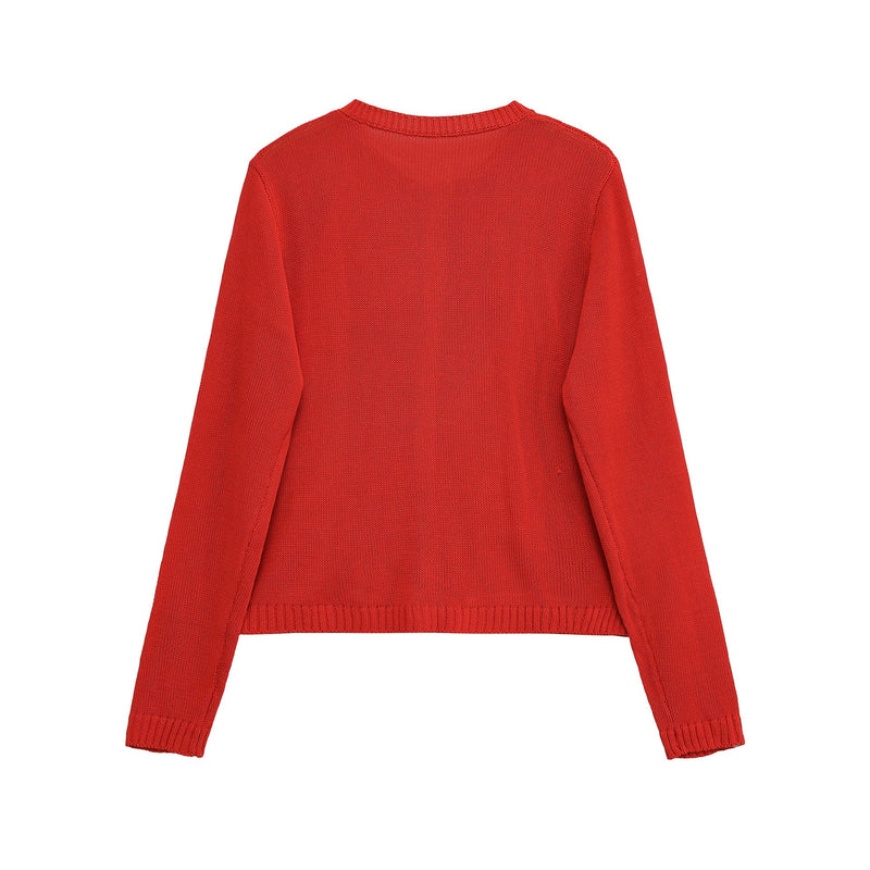 Elegantly Designed Garment