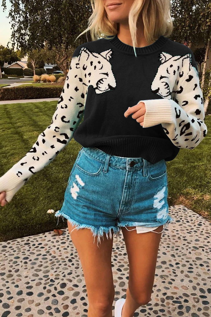 Elegantly Designed Pullover