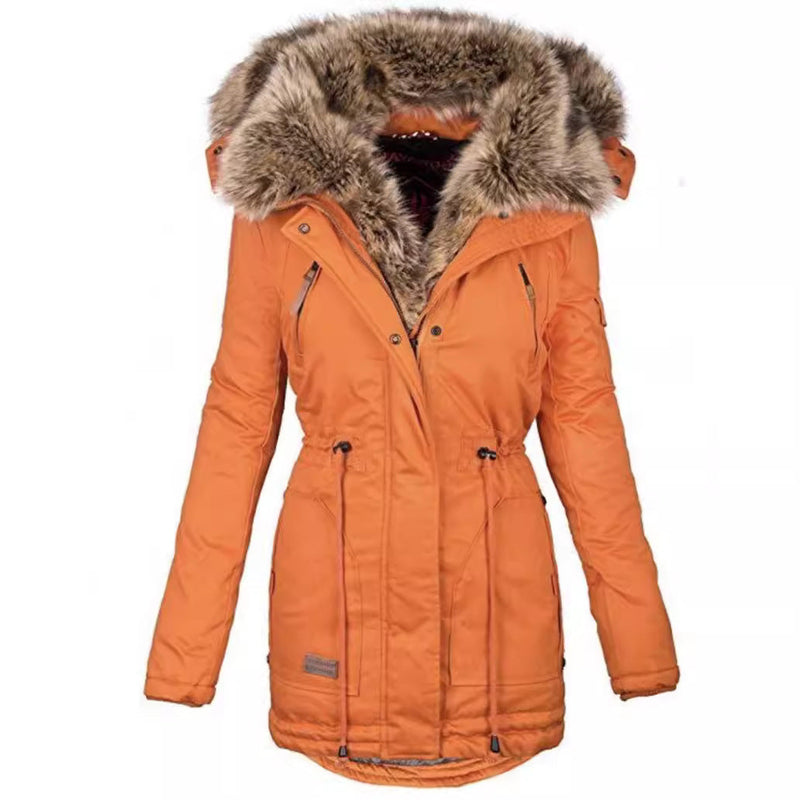 Classic Designed Garment