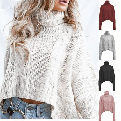 Elegantly Designed Pullover