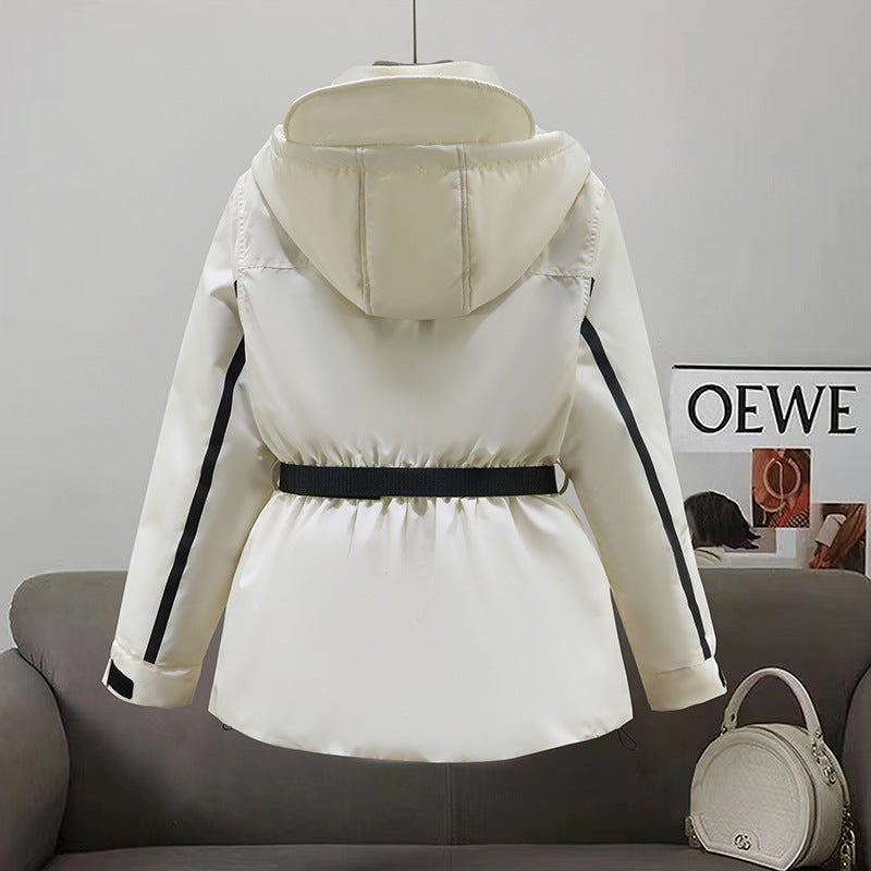 Classic Designed Garment