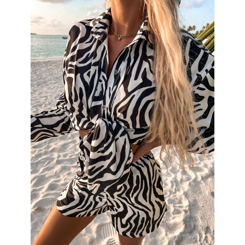 Zebra