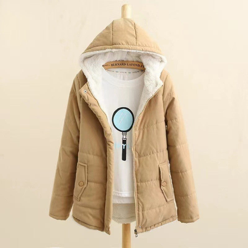 Beautifully Crafted Garment