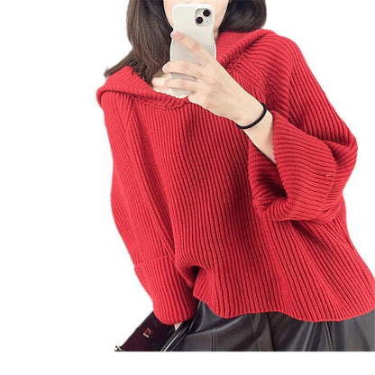 Elegantly Designed Pullover