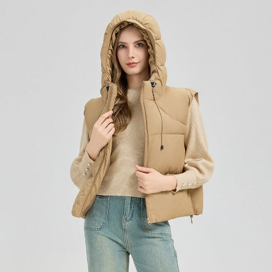 Classic Designed Garment