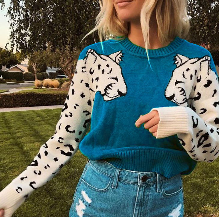 Elegantly Designed Pullover