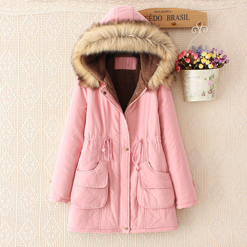 Elegantly Designed Garment