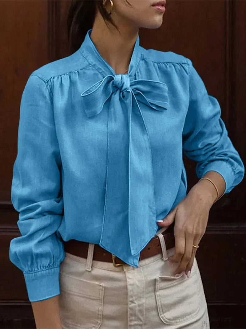 Classic Designed Blouse