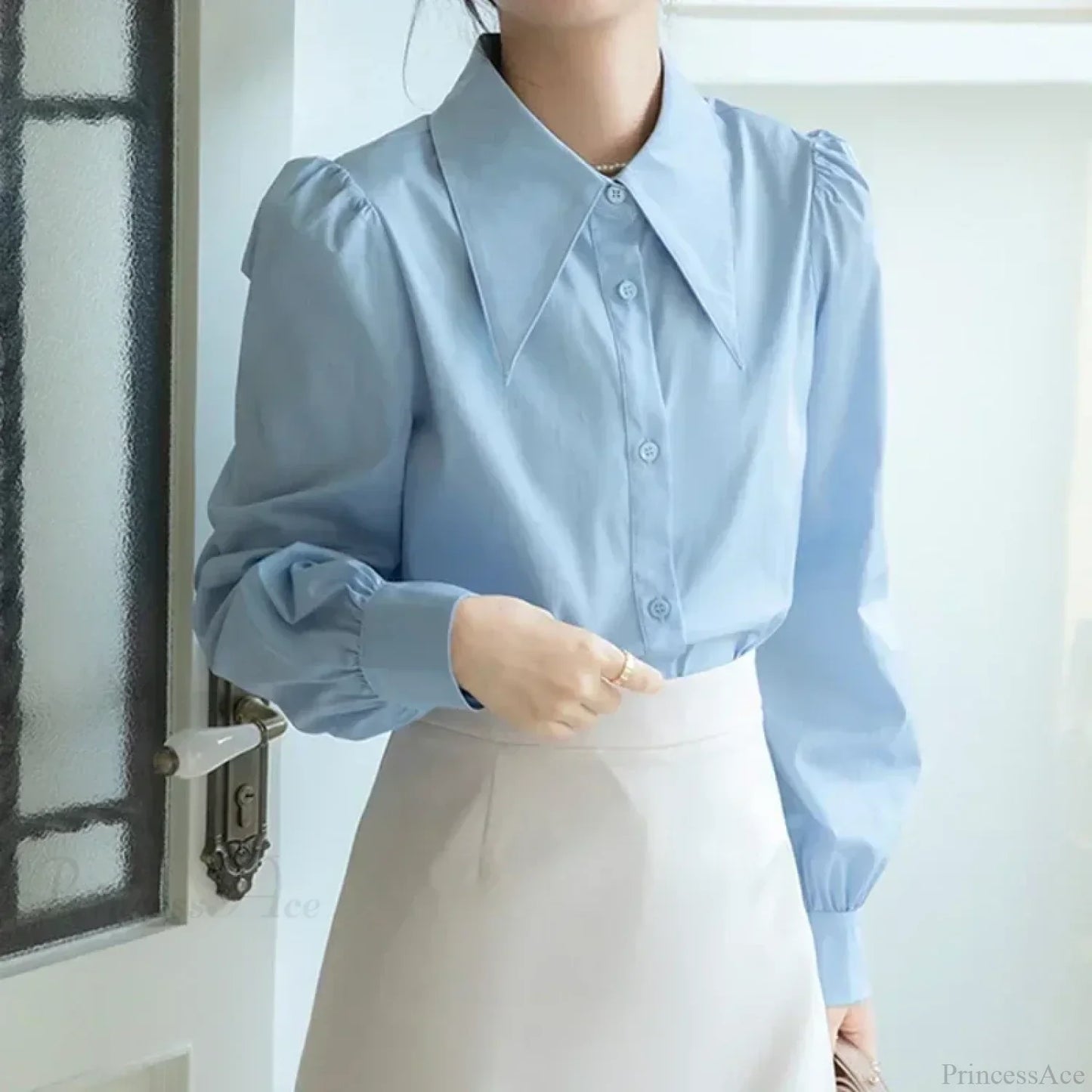 Gracefully Designed Blouse