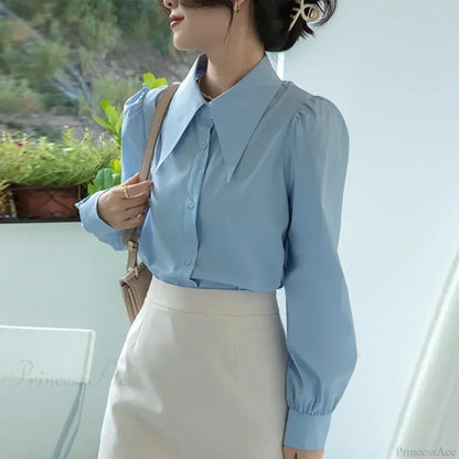 Gracefully Designed Blouse