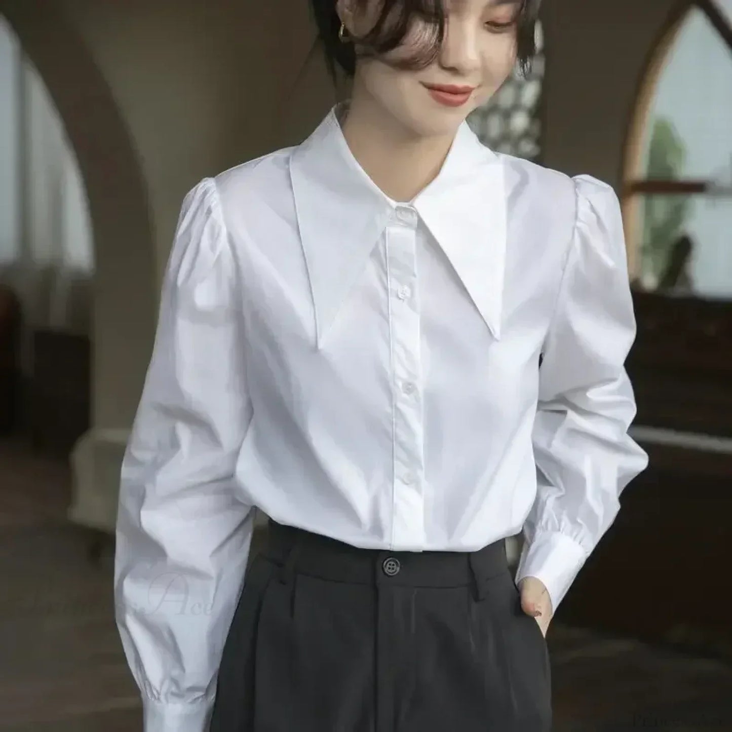 Gracefully Designed Blouse