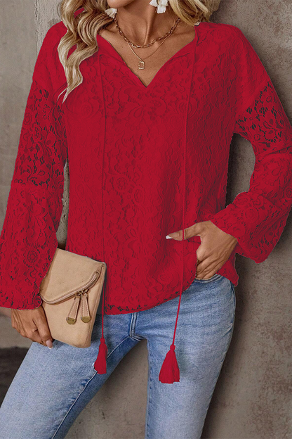 Color Lace Fringed Trim Hollow Out V Neck Tops(4 Colors)