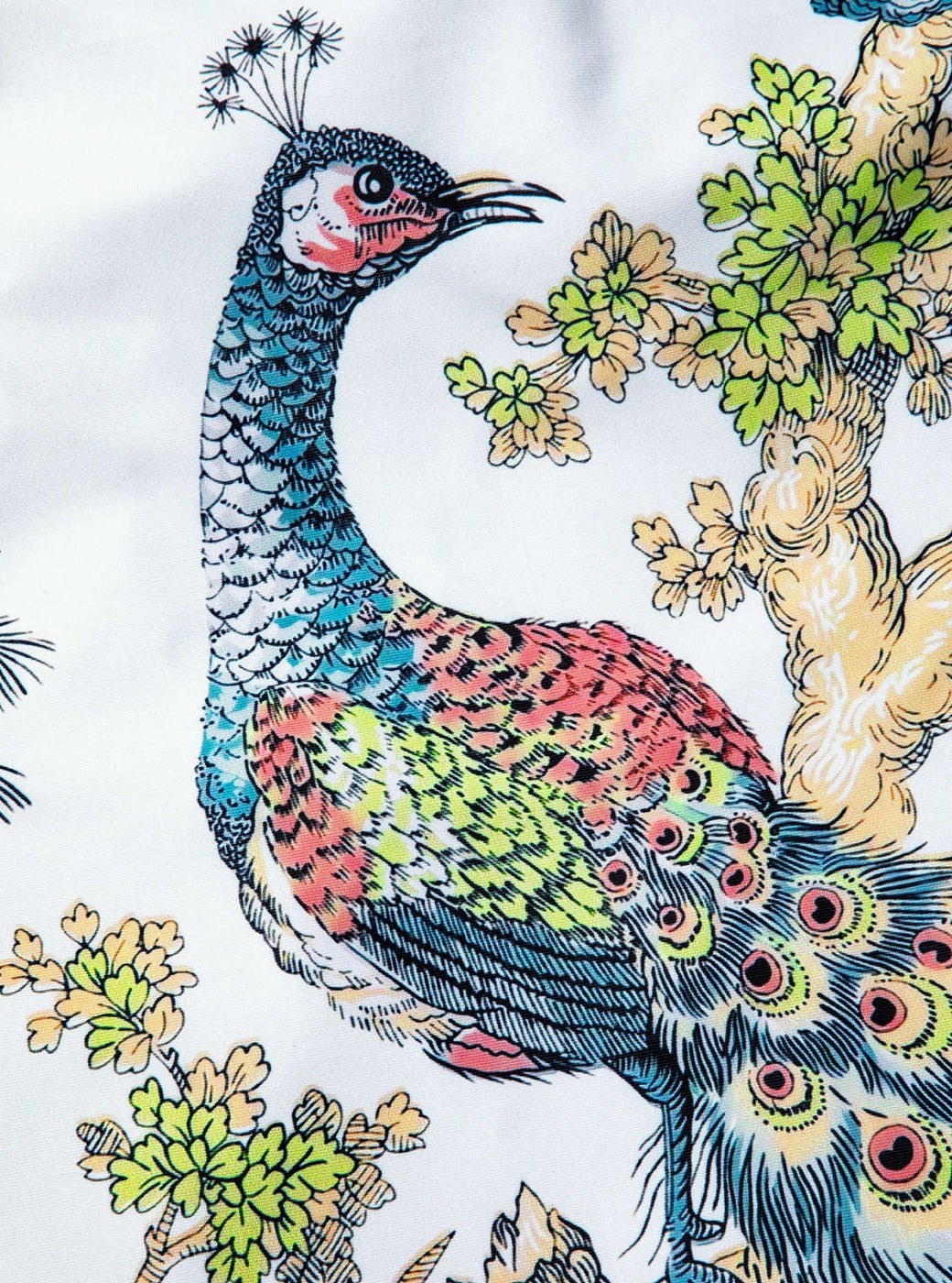 Gracefully Designed Garment