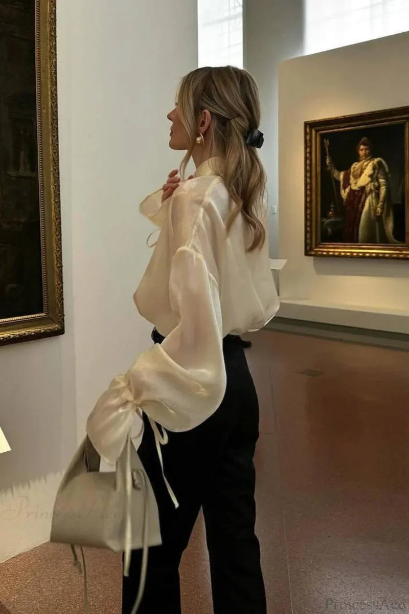 Elegantly Designed Blouse