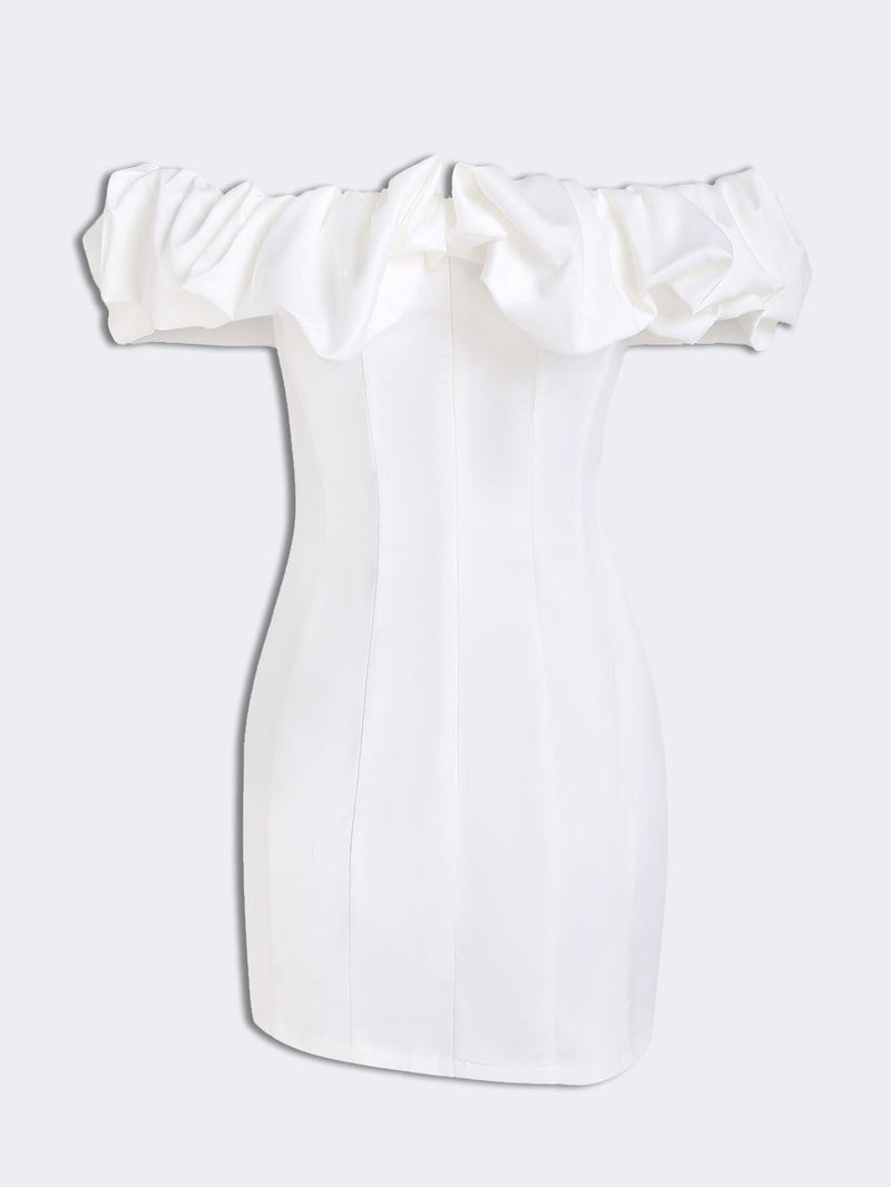 Classic Designed Dress