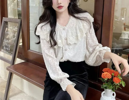 Beautifully Crafted Blouse