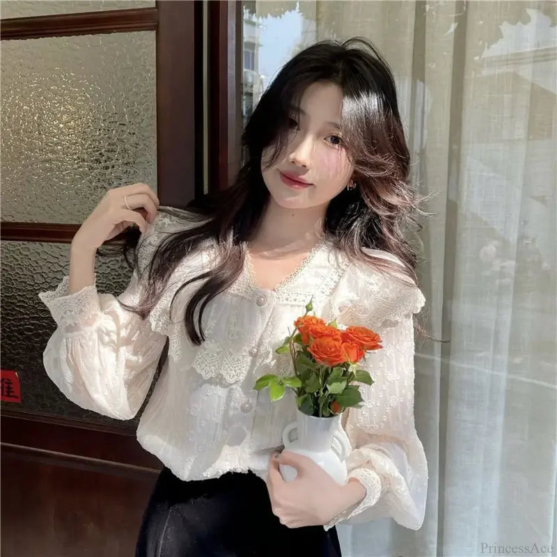 Beautifully Crafted Blouse