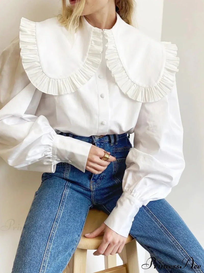 Gracefully Designed Blouse