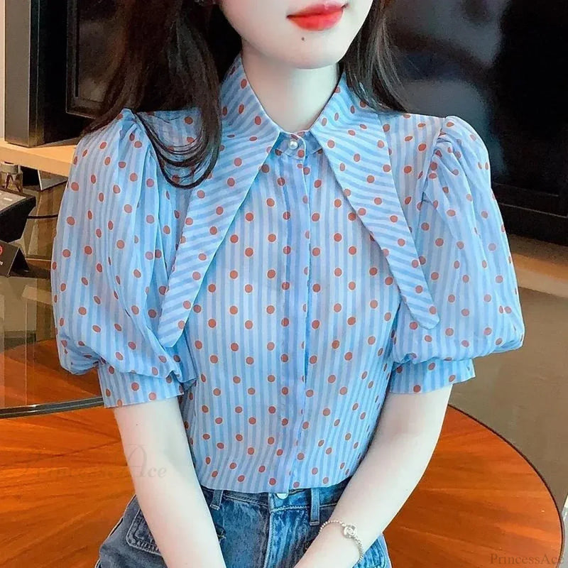 Gracefully Designed Blouse