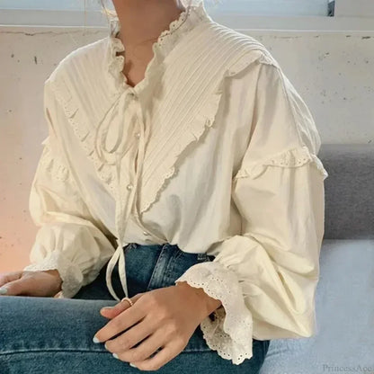 Gracefully Designed Blouse