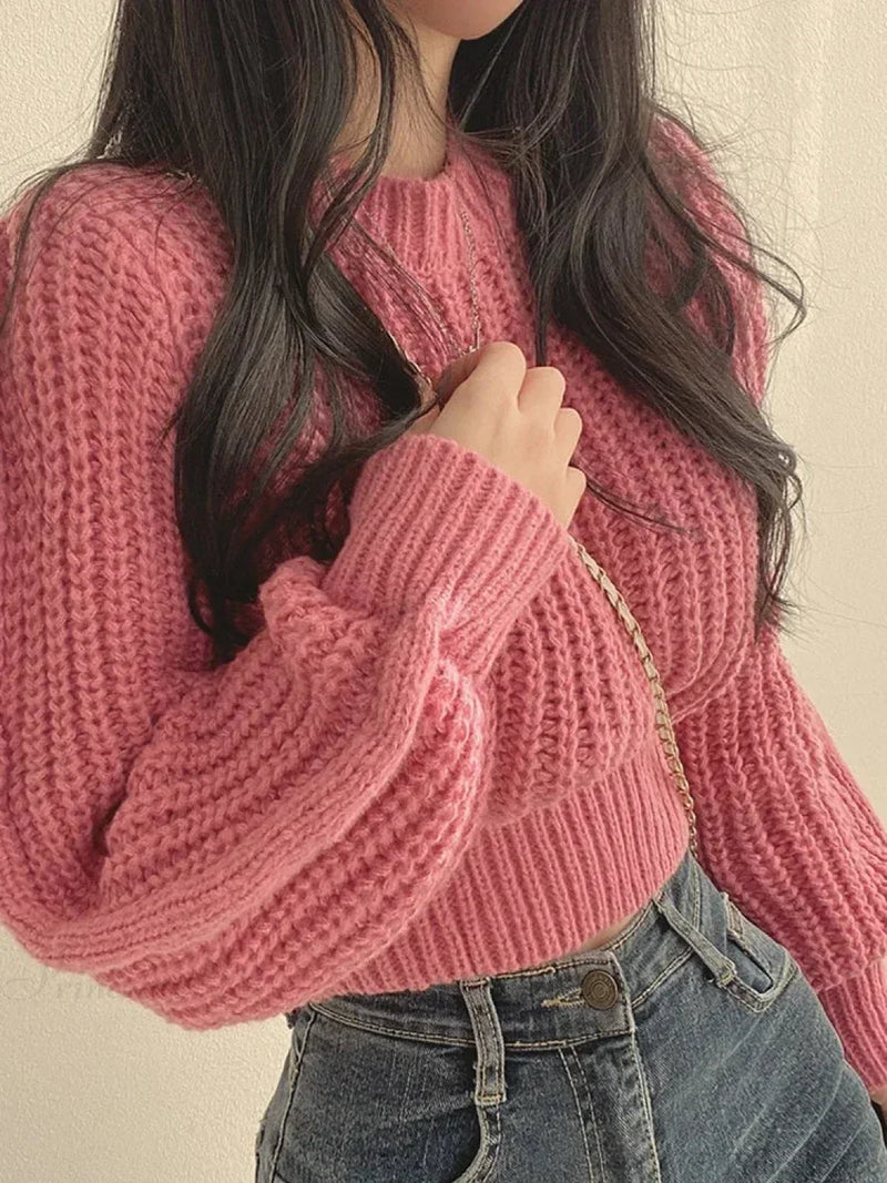 Classic Designed Sweater