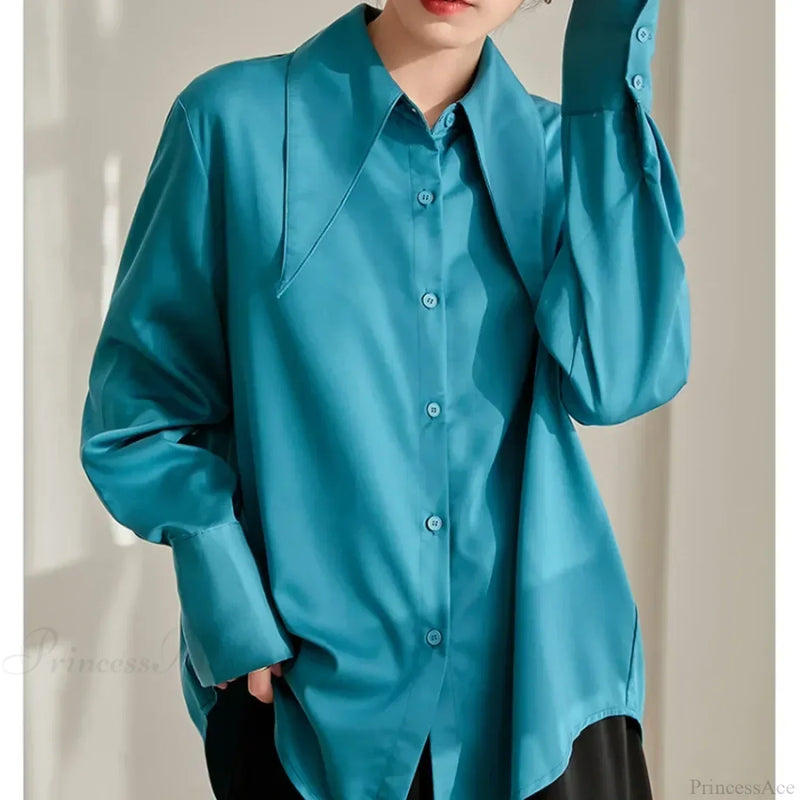 Thoughtfully Designed Blouse