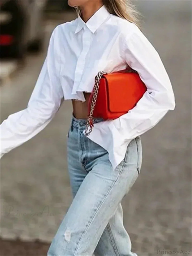 Beautifully Crafted Blouse